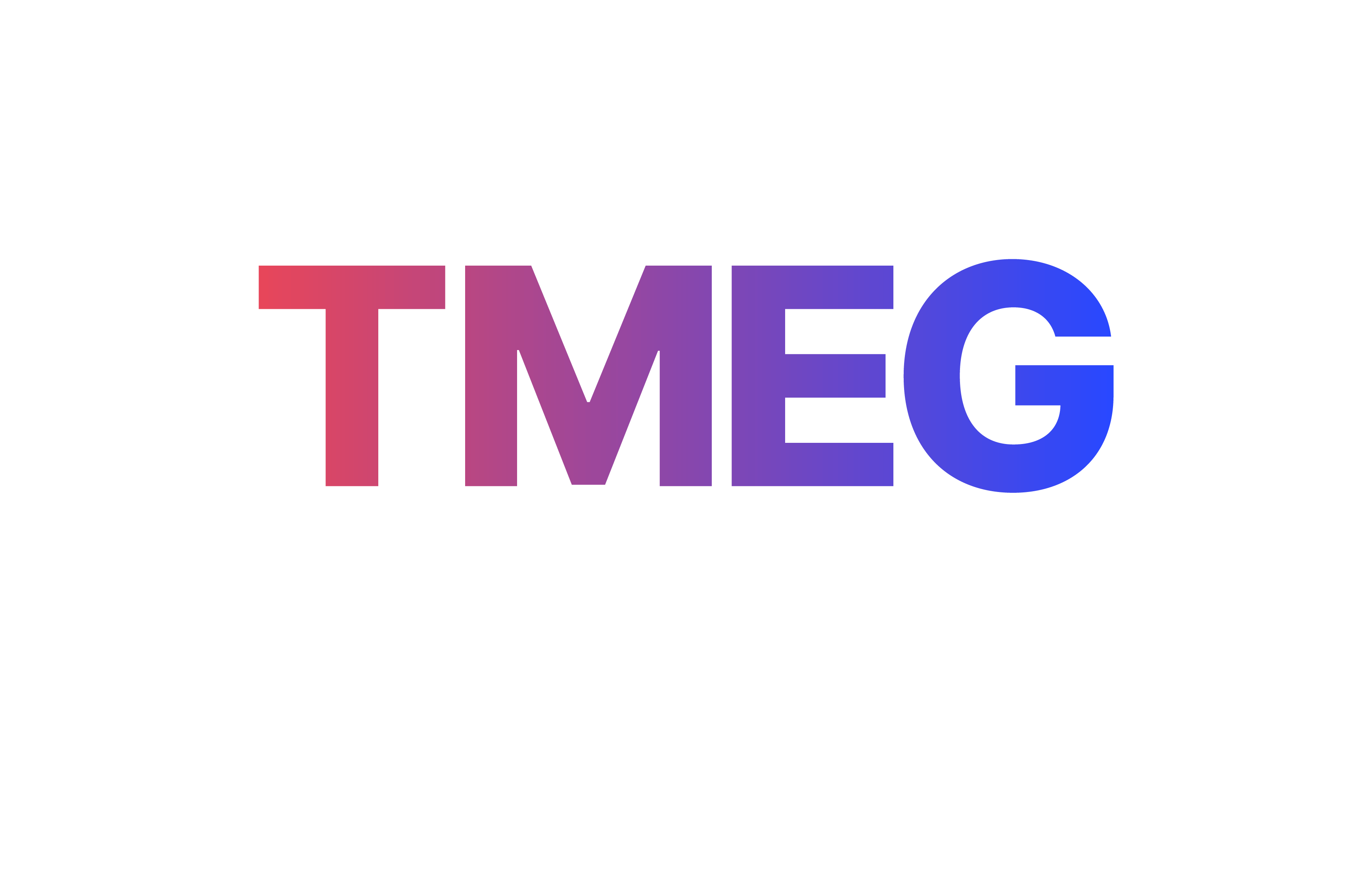 (주)티엠이그룹 기업 로고 이미지