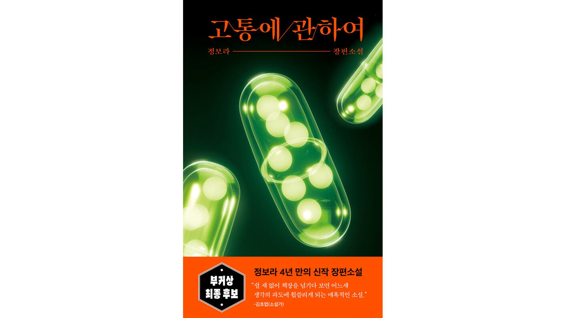 고통에 관하여 IP 이미지 1