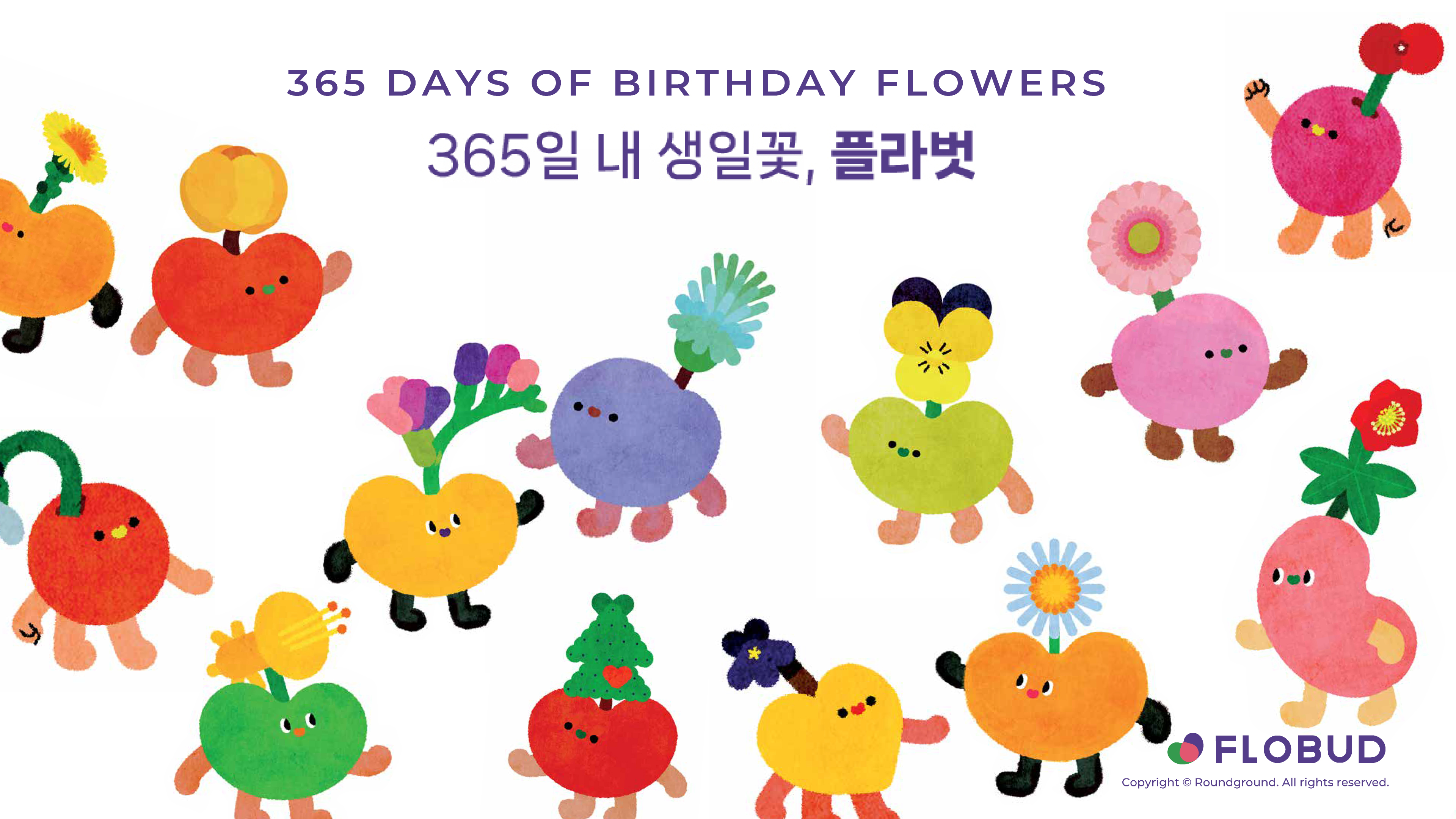 생일꽃 플라벗 IP 이미지 1