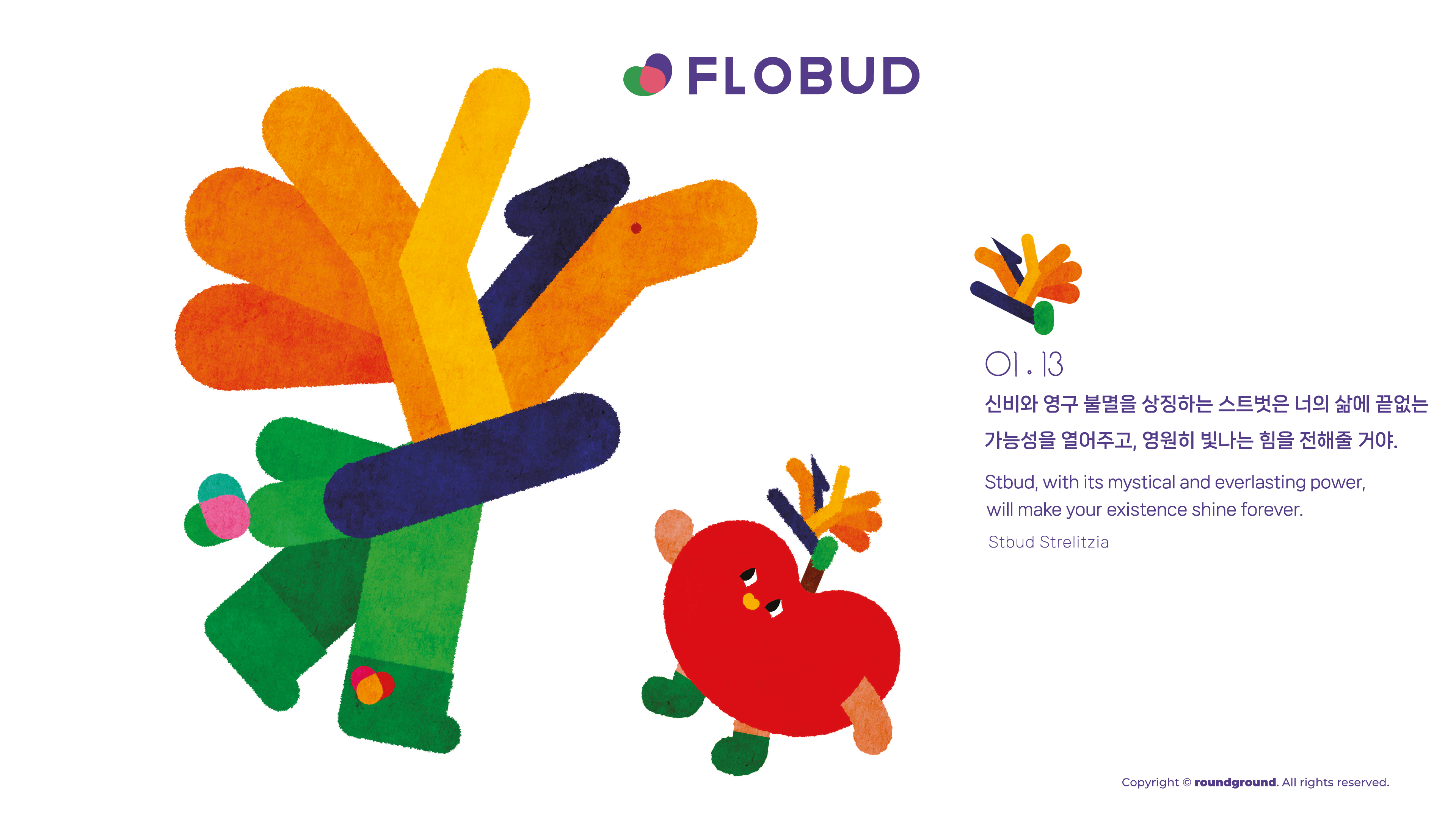생일꽃 플라벗 IP 이미지 2