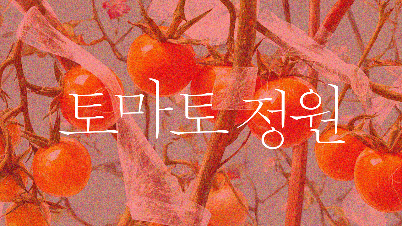 Tomato Garden IP 이미지 1