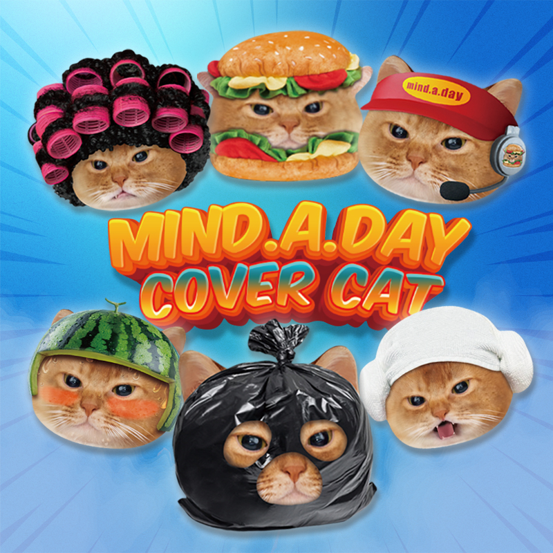 Mind A Day_Cover Cat IP 이미지 2