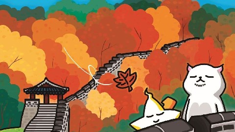 (주)에이치디엠 대표 IP 이미지