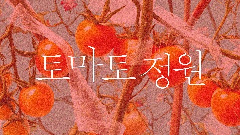 Tomato Garden IP 이미지