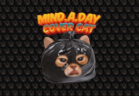 Mind A Day_Cover Cat IP 이미지